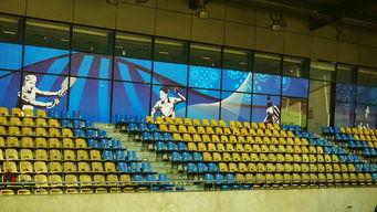 九游游戏平台-澳大利亚队未来如何利用青训体系打造新一代乒乓巨星，澳大利亚乒乓球